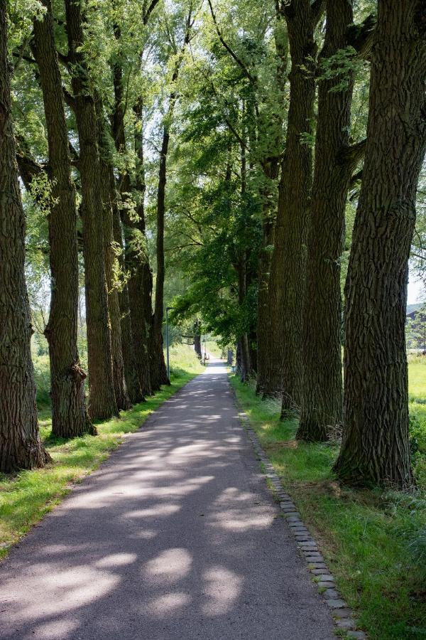 Gaestezimmer Aschenbrenner Bad Rodach Exterior foto